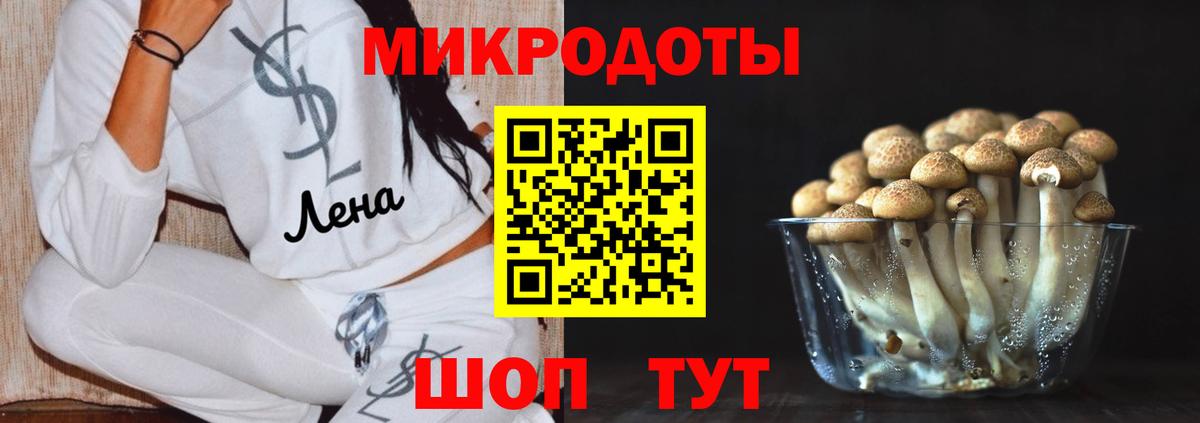 хочу   Псилоцибиновые грибы прущие грибы  Вход с VPN  Серпухов 